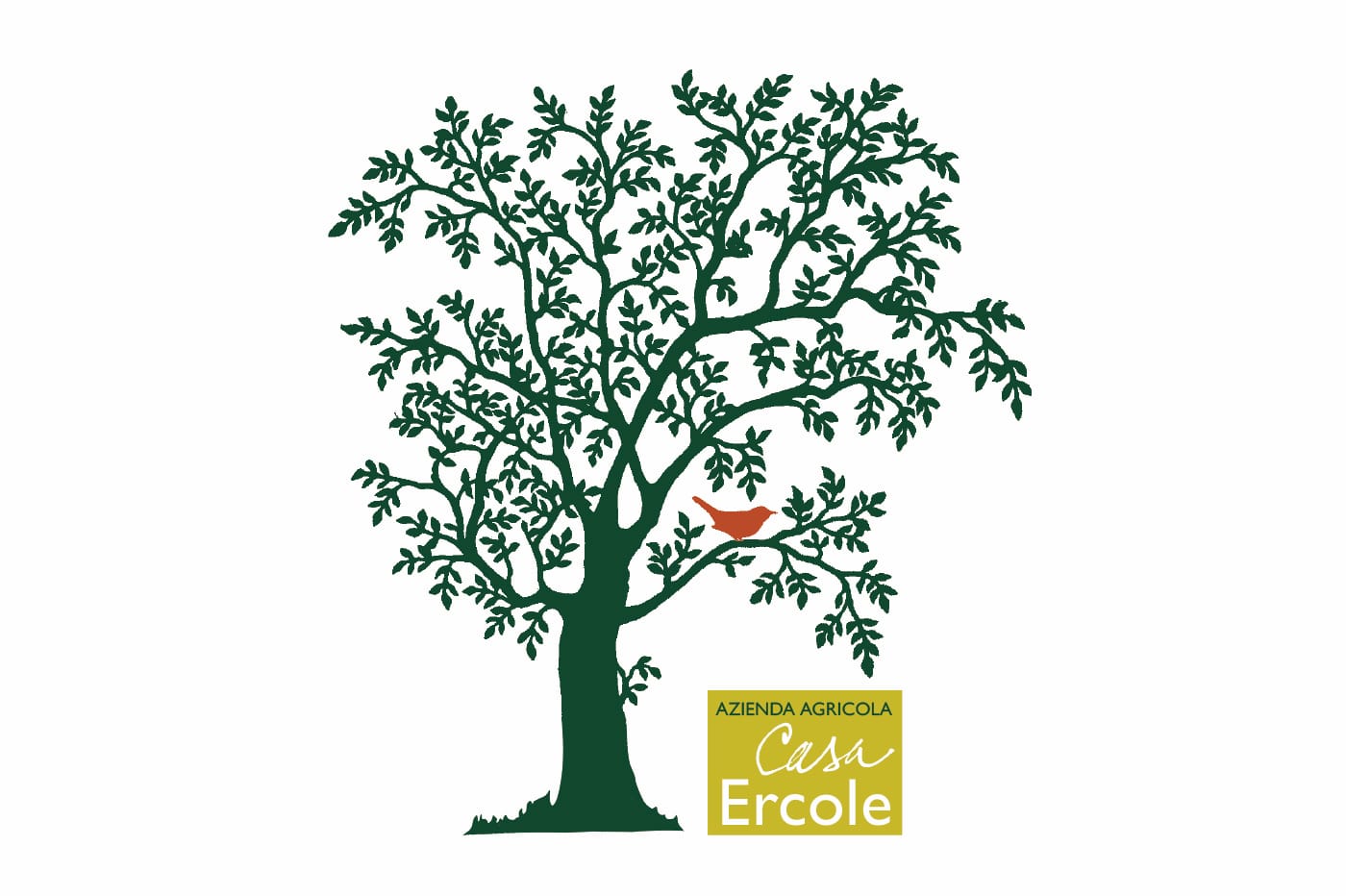 Azienda Agricola Casa Ercole - logo e linea coordinata per i prodotti dell'Azienda Agricola
